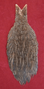jungle cock cape